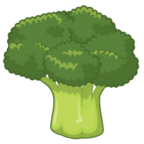 Broccoli Classroom Vegetable Transparent Sticker